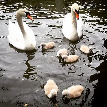Houseboat Westerdok 3*