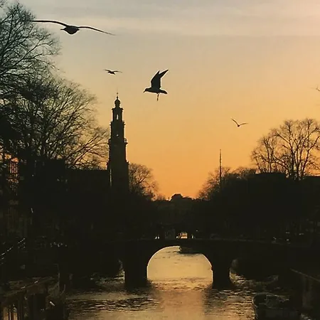 Pensjonat Houseboat Westerdok Amsterdam