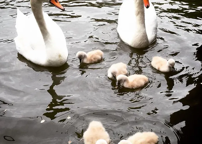 Houseboat Westerdok 3*